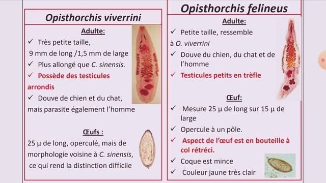 Douves et distomatoses