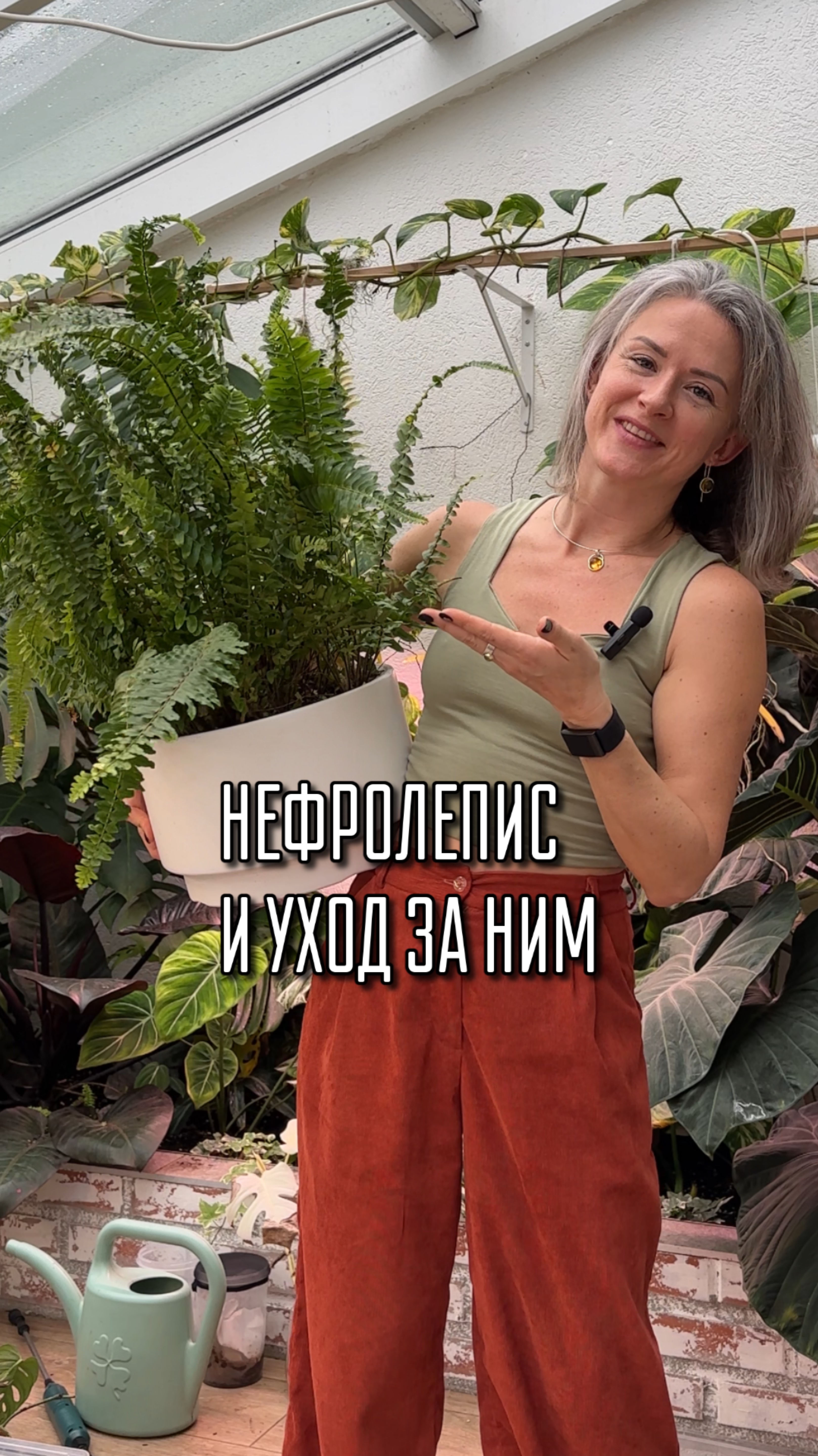 Нефролепис, уход за ним .