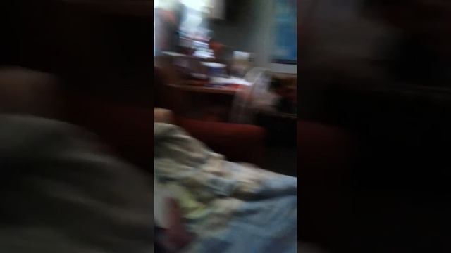Смешные видео