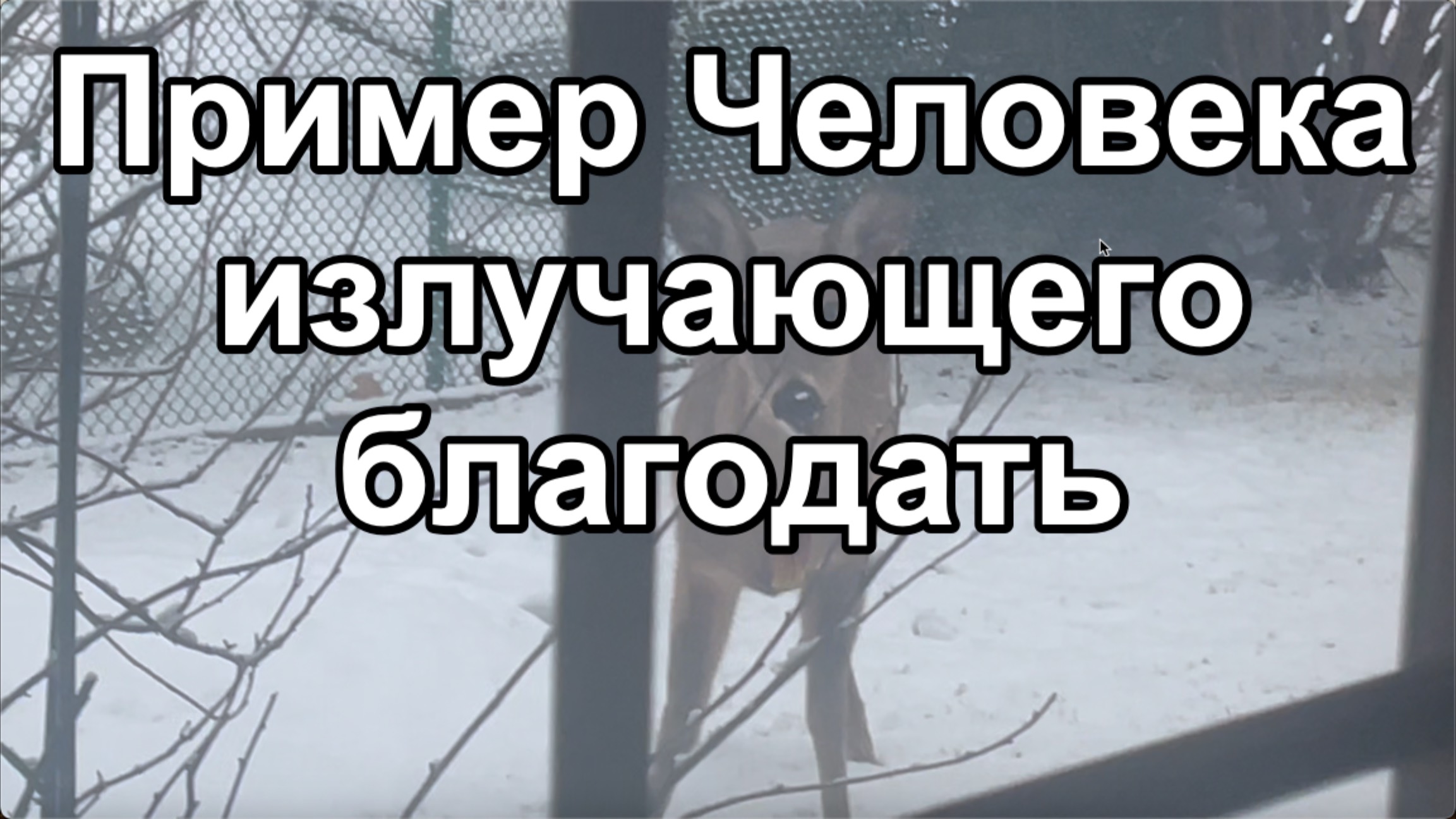Пример Человека, излучающего благодать