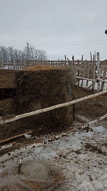 Кормушка под сено для КРС