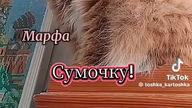 Kakao29 инкассаторская сумочка на 8 марта