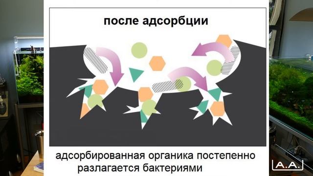 Фильтрация в аквариуме часть 2 ADA