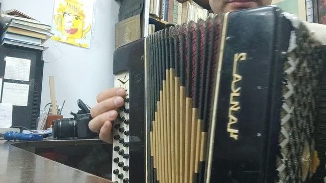 Чайка 2