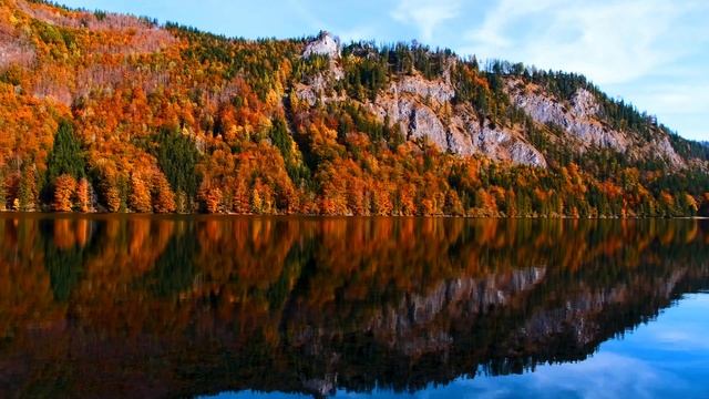 Дикая природа мира. Гора с осенним лесом на фоне прекрасного озера. Шум ветра и пение птиц.