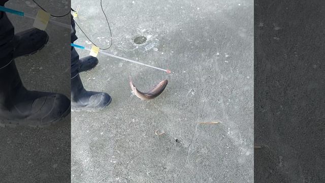 1000061284.mp4