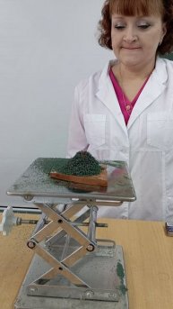 1.Окружной семинар-практикум для учителей химии «Система оценивания заданий с развёрнутым ответом»