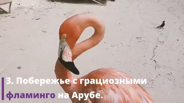 5 невероятных локаций для райского отпуска