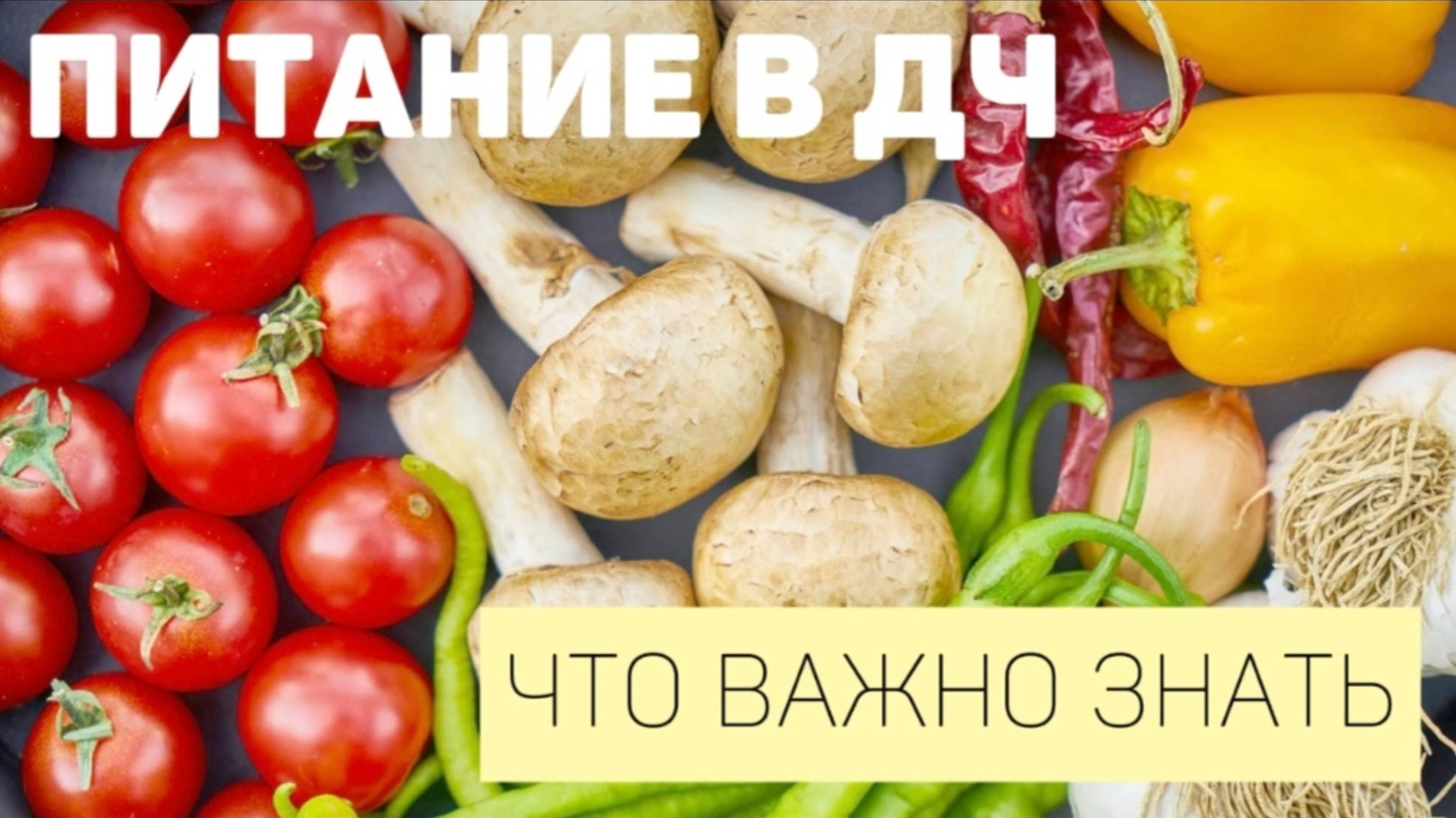 Важные нюансы о питании в Дизайне Человека