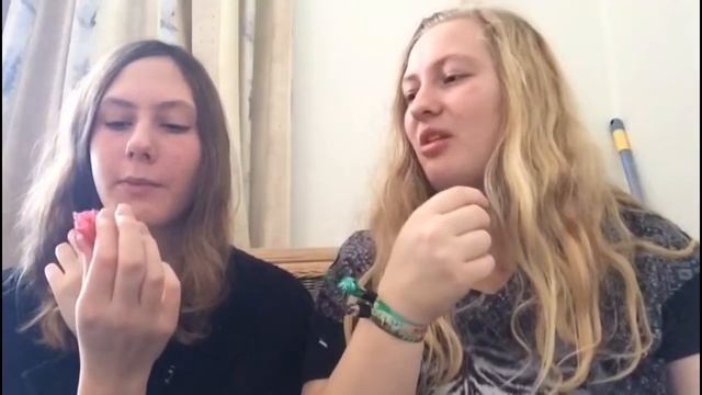 Macarons eten met Madelyn Braveyard van Star Stable Online