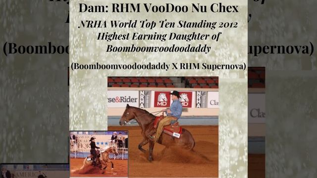 SK Sparkling Daddy