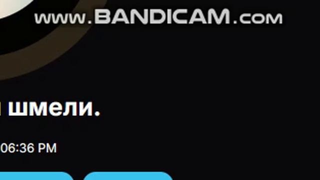 На ст. Bunina & Balmonta - И цветы, и шмели....