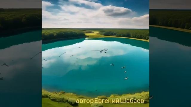 Звезда с небес.
автор Евгений Шабаев 

#любовь#музыка #верность #весна #топ