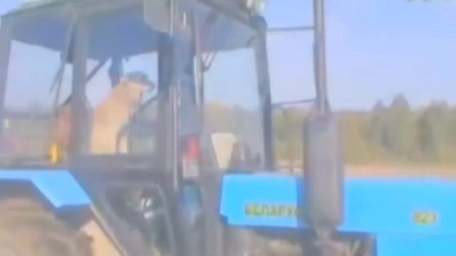 Russian tractor drivers fun video