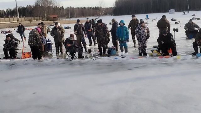 зарыбление 280 кг