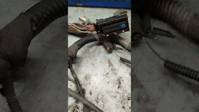 проводка byd f3