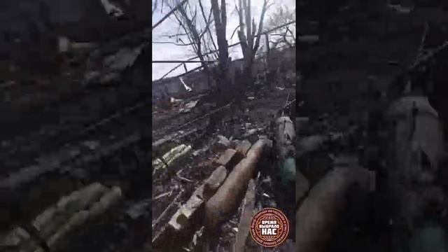 ‼️🇷🇺Кадры от первого лица. Бои под Торецком (ДНР). Наш штурмовик😎🤙🇷🇺🇷🇺🇷🇺