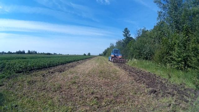 МТЗ-80, ПД-2.2, Обработка стерни клевера(Дискуем)