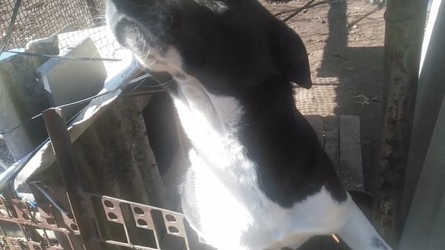 VID_20250308_125652