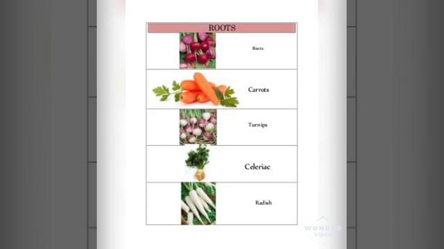 Roots vegetable Benefits and Nutrition 👍