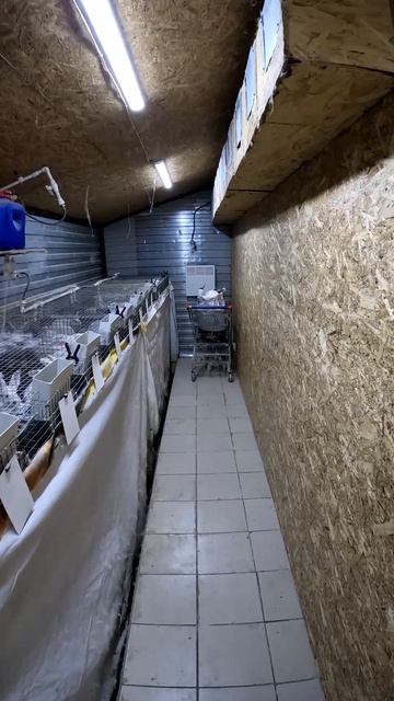 Мини КРОЛЬЧАТНИК