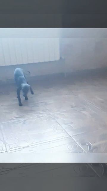 1000022172.mp4
