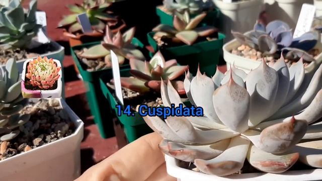 20 октября 2022 г.