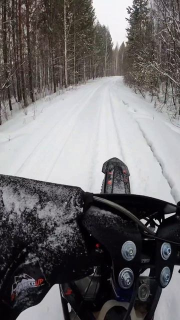 На мотоцикле по зимнему лесу🏍