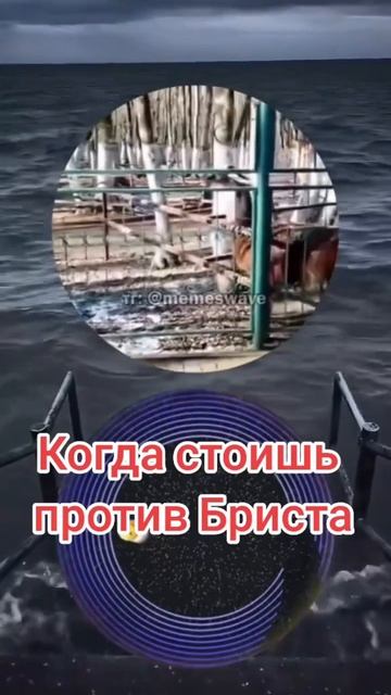 когда стоишь против бриста