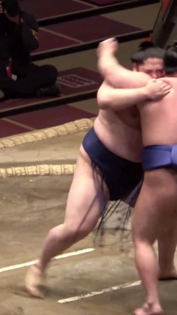 Los mejores de SUMO JAPON💪 #sumo #japon #japan #sports #viral #shorts