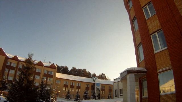 Дартс Полёты в Пансионате
