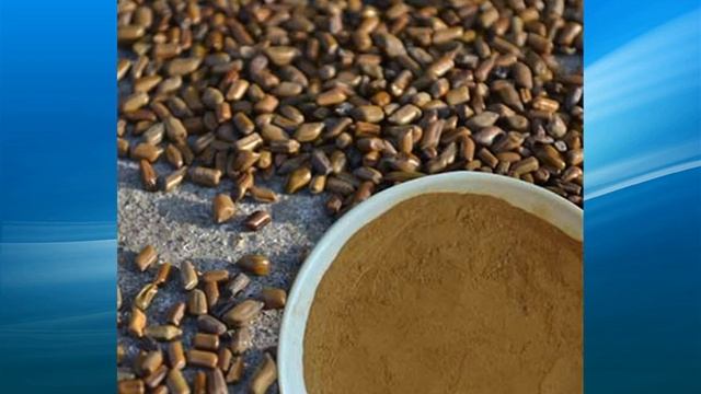 Cassia Seed Extract supplier,wholesale,factory,bulk