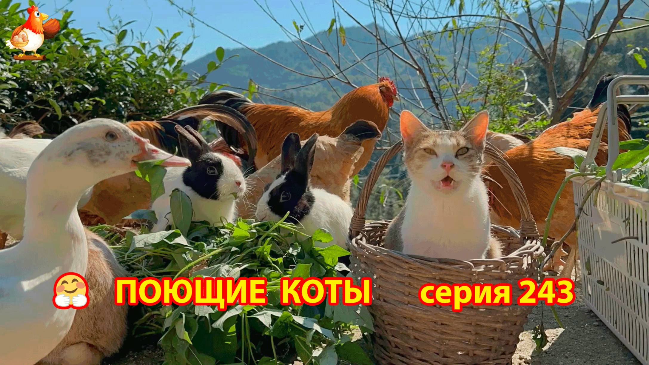 Крутые коты у птичьего двора серия (243) 🐈🐈😹 Природа Абхазии и подворье с птицами и животными ❣