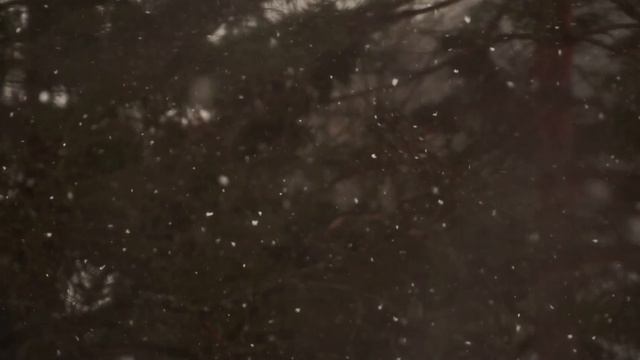 Громкие чтения "Зима в стихотворениях русских поэтов