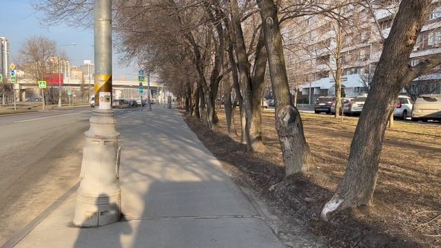 Электричество убивает деревья