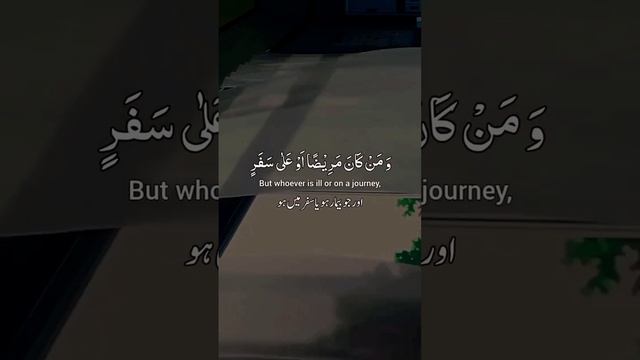 1000095084.mp4