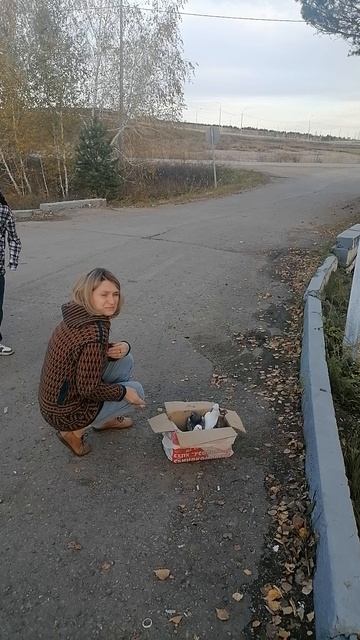 выпускаем голубей