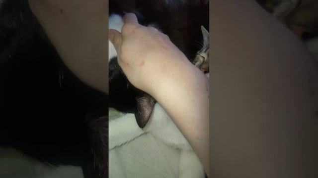 1000068934.mp4