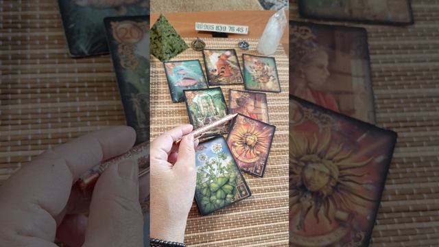 Как пройдет Ваш новый день?🌷🍀💥
