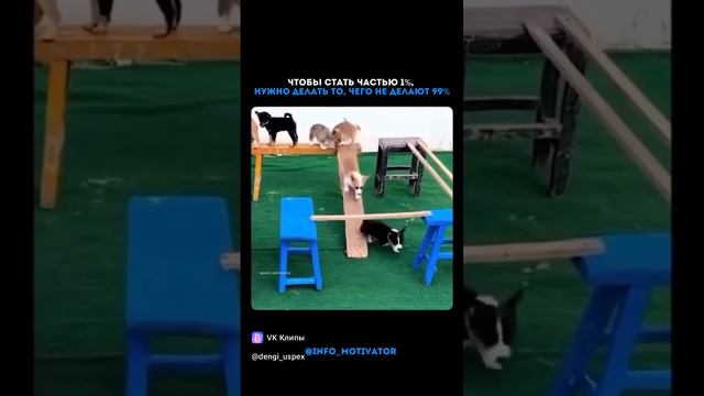 1000161758.mp4