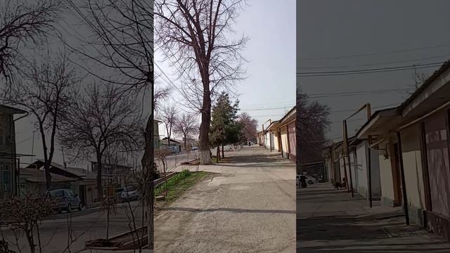 ура у нас в Ташкенте весна .