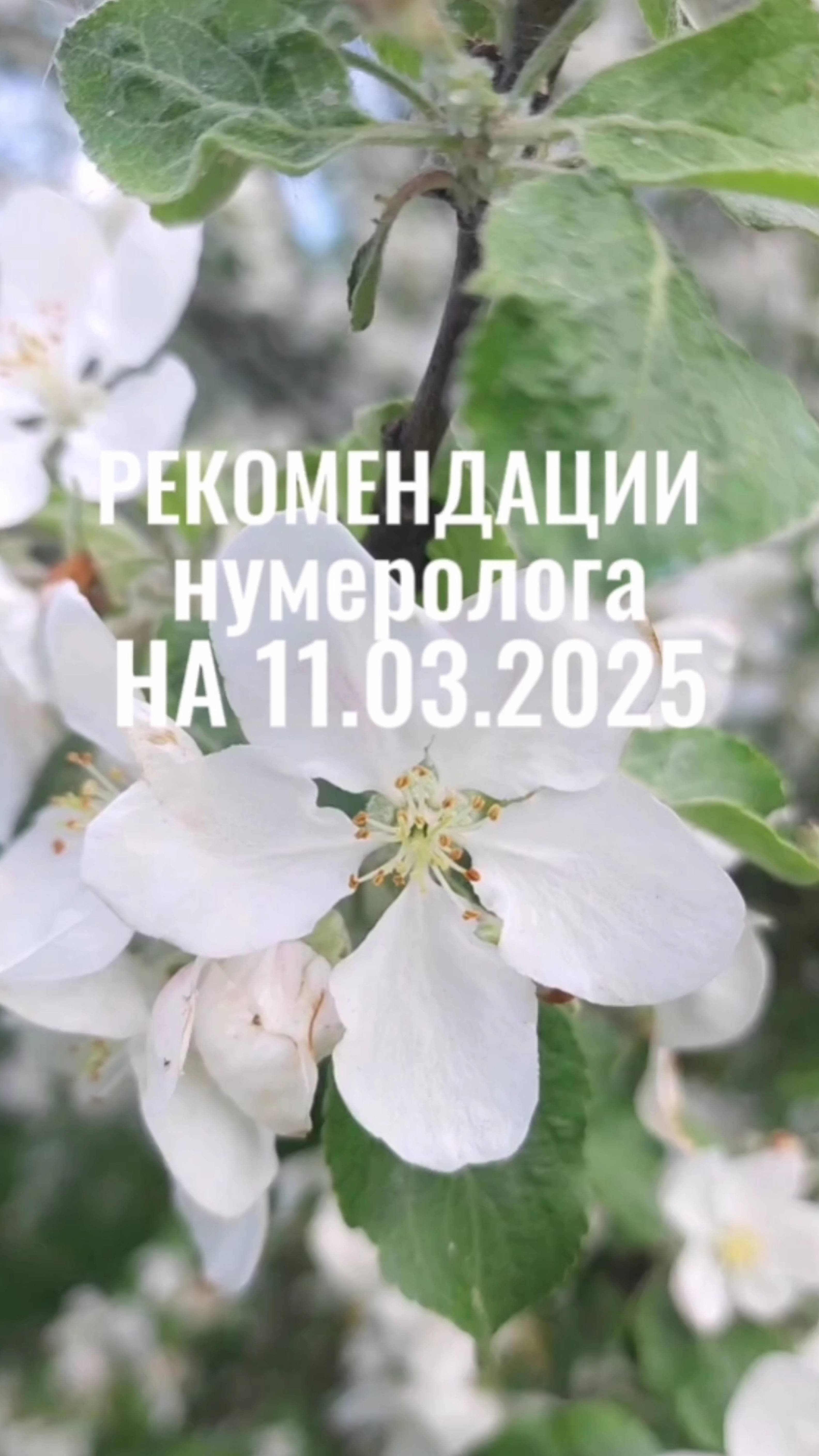 РЕКОМЕНДАЦИИ НУМЕРОЛОГА НА 11.03.2025 #рекомендациинумеролога #рекомендациинадень