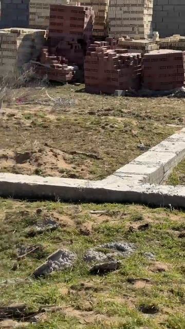 Караман - 6