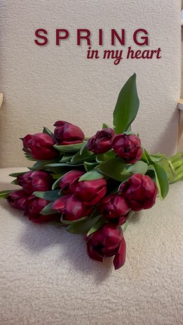 Spring