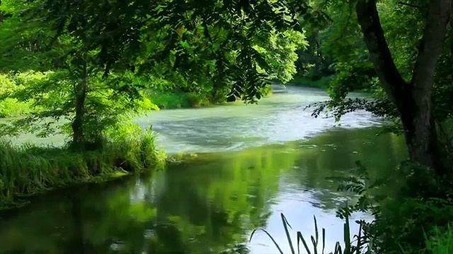 Звуки природы  для сердца и сосудов. Исцеление Музыкой. Сна, Медитации