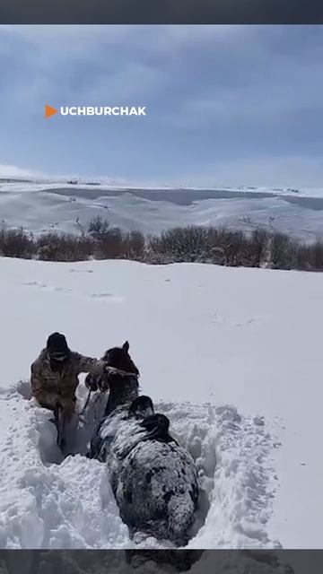 Снегопад выше роста человека обрушился на Казахстан!