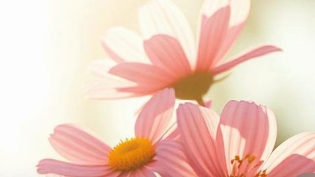 1 C женским днём вас поздравляем!