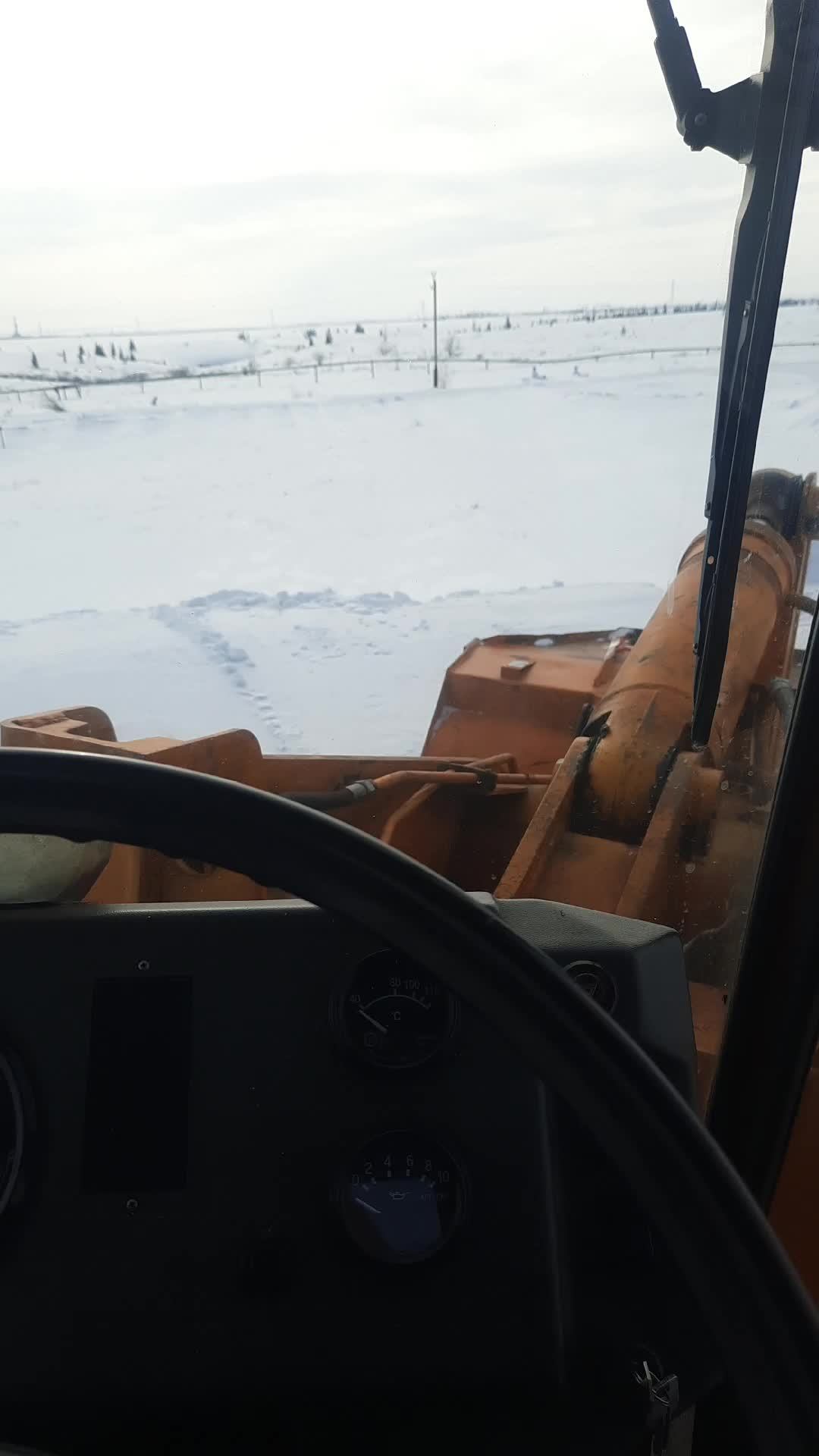 тундра