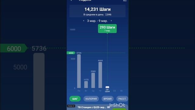 меняю жизнь за год 1 цель похудеть