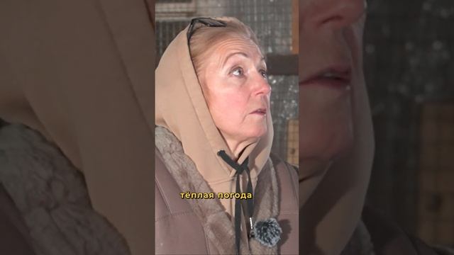 Сложно ли содержать ослиную ферму? #ослы #фермерство